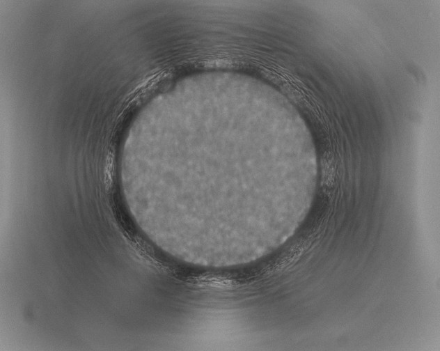 X0000115410648200912151543