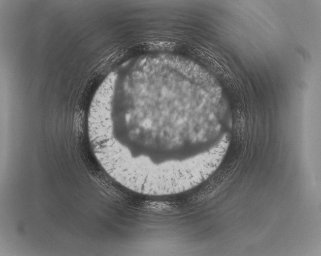 X0000115410649200912151543