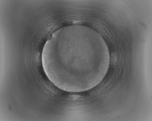 X0000115410650200912151543