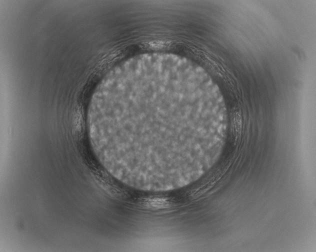 X0000115410651200912151543