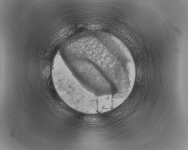 X0000115410652200912151543