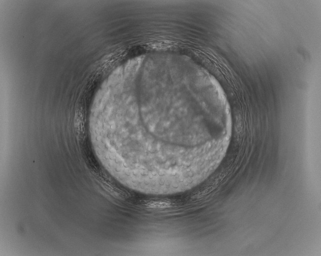 X0000115410653200912151543