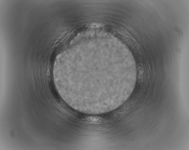 X0000115410654200912151543