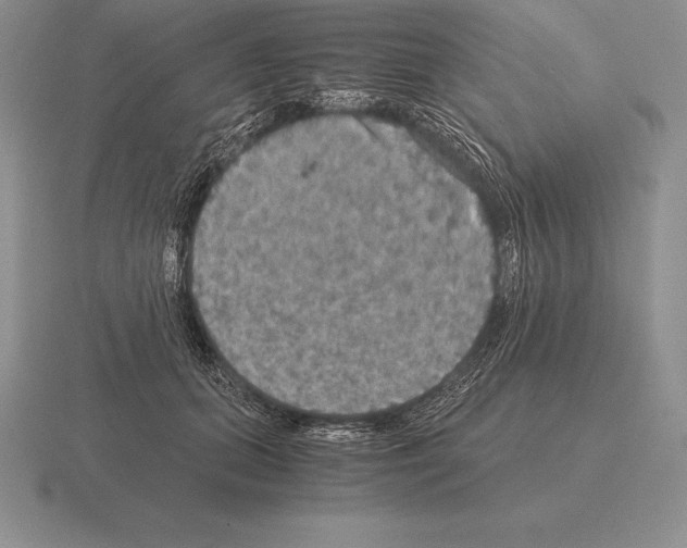 X0000115410655200912151543