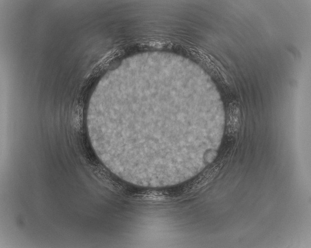 X0000115410656200912151543