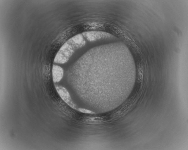 X0000115410657200912151543