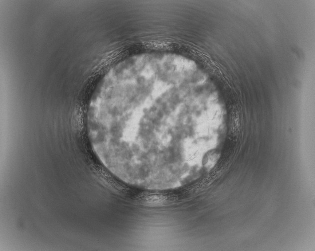 X0000115410658200912151543