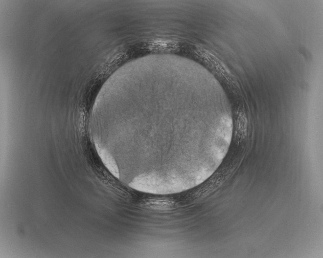 X0000115410659200912151543