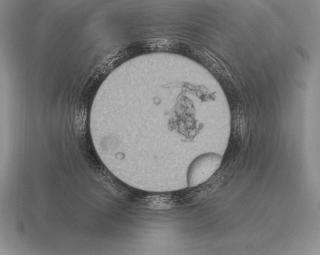 X0000115410660200912151543