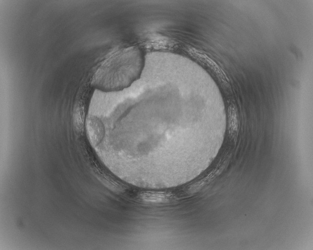 X0000115410661200912151543