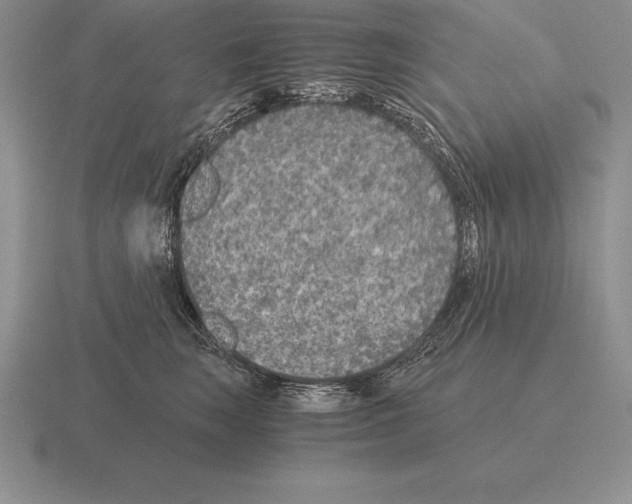 X0000115410663200912151543