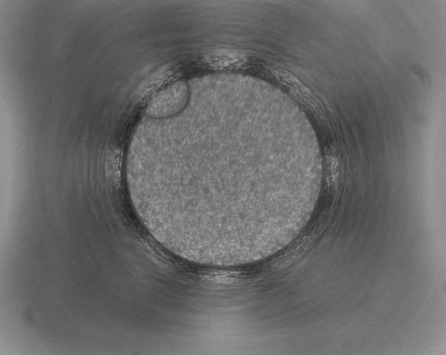 X0000115410664200912151543