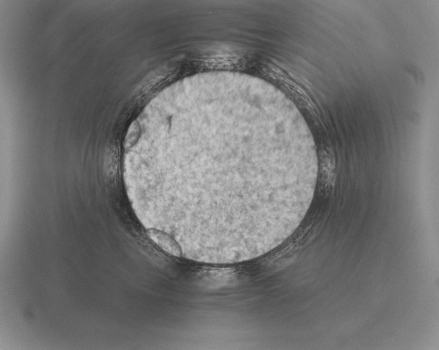 X0000115410665200912151543