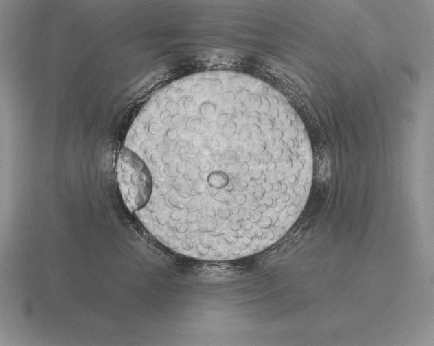 X0000115410666200912151543