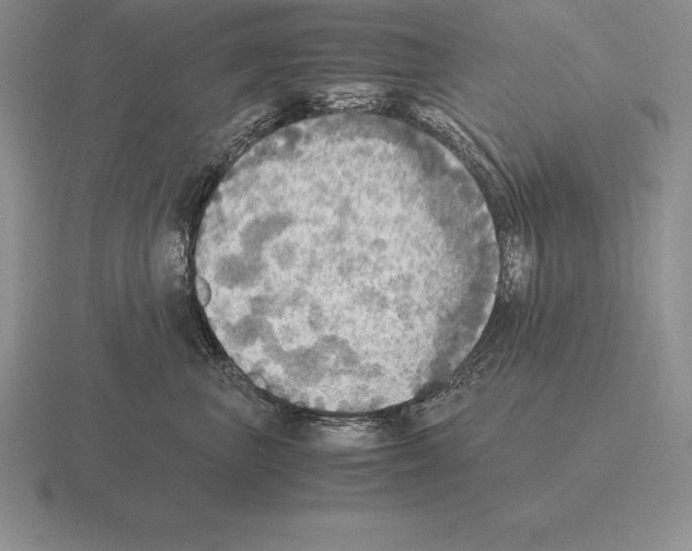 X0000115410667200912151543