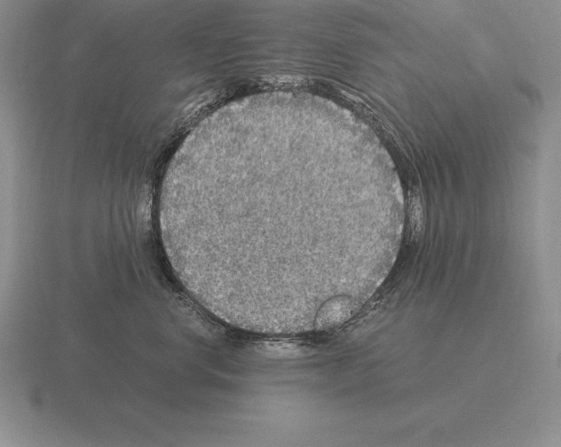 X0000115410668200912151543