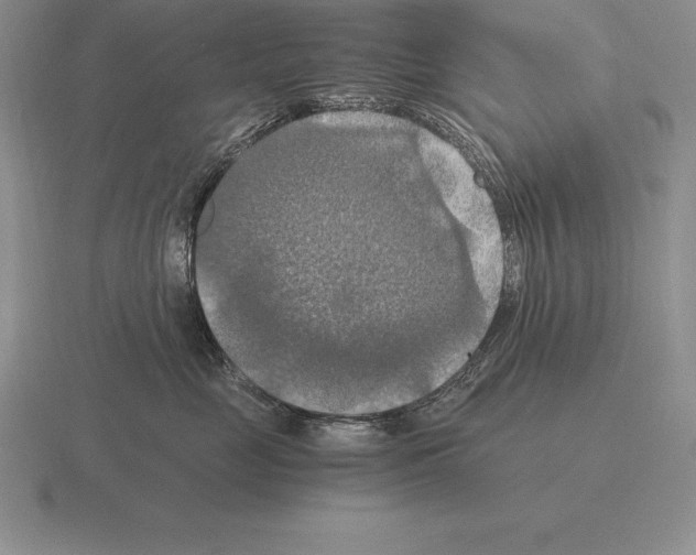 X0000115410669200912151543