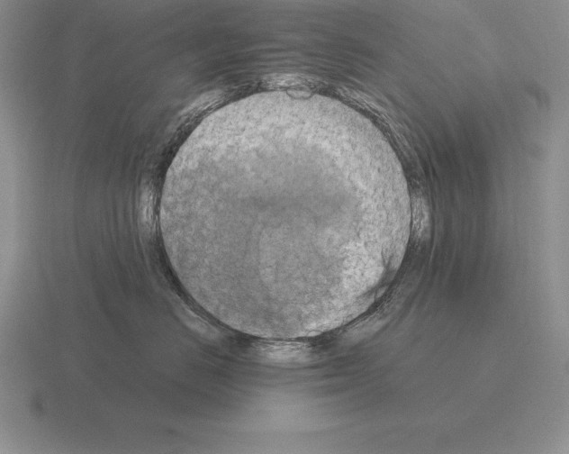 X0000115410670200912151543