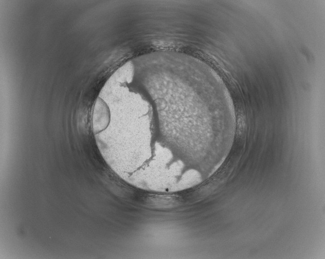 X0000115410671200912151543