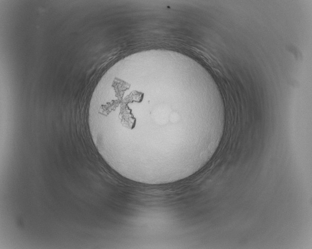 X0000115410672200912151543