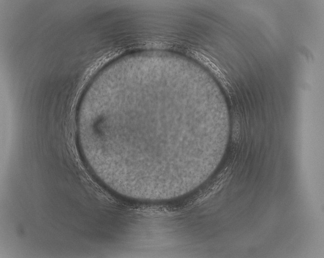 X0000115410673200912151542