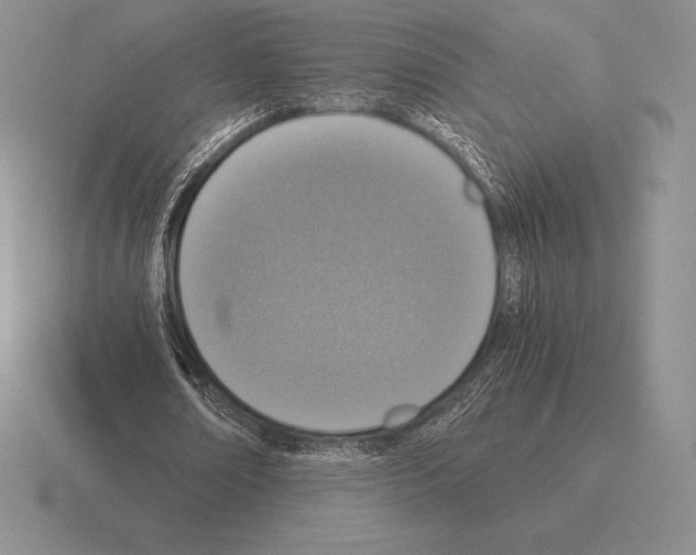 X0000115410674200912151542