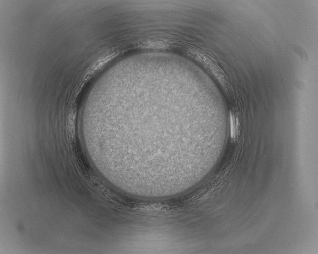 X0000115410675200912151542