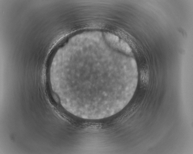 X0000115410676200912151542