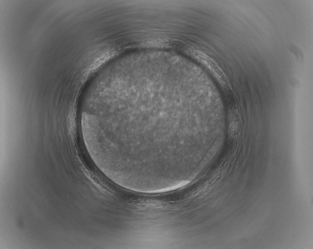 X0000115410677200912151542