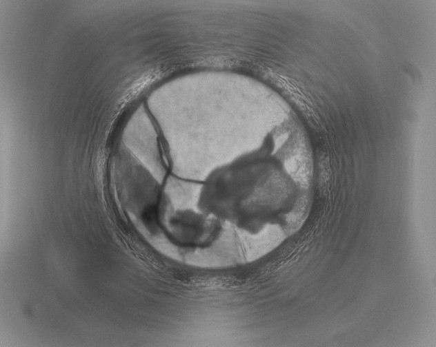 X0000115410679200912151542