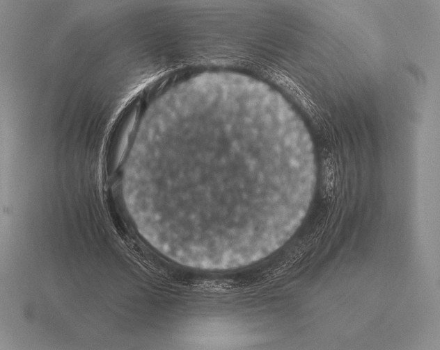 X0000115410680200912151542