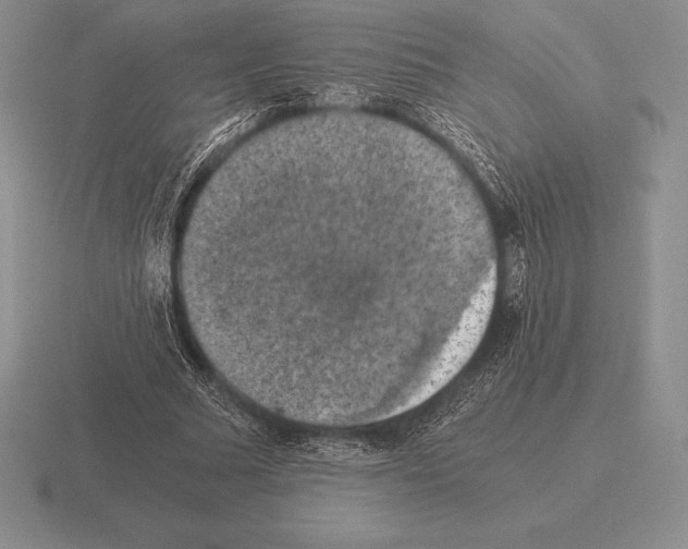 X0000115410681200912151542