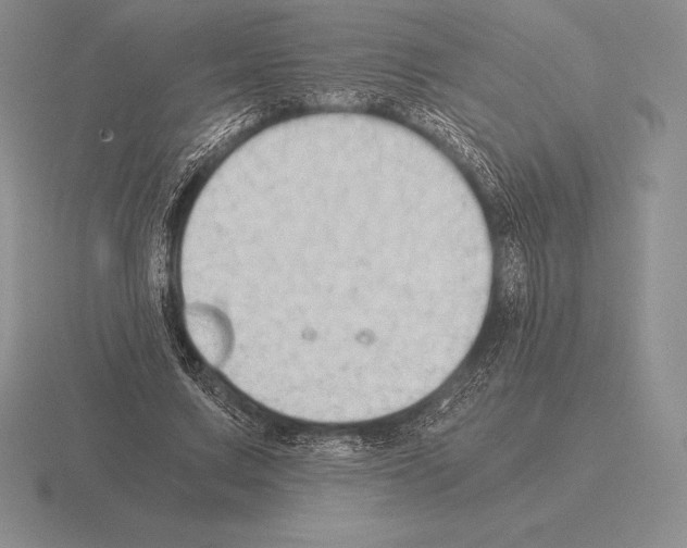 X0000115410683200912151542