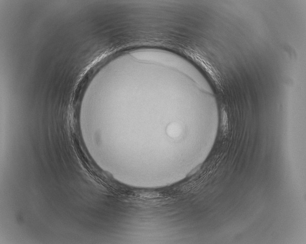 X0000115410684200912151542