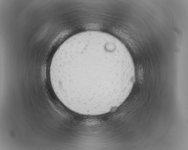 X0000115410686200912151542