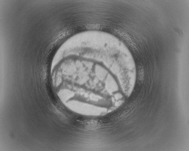 X0000115410687200912151542