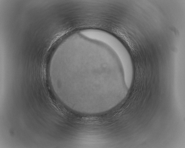 X0000115410688200912151542