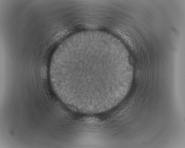 X0000115410689200912151542