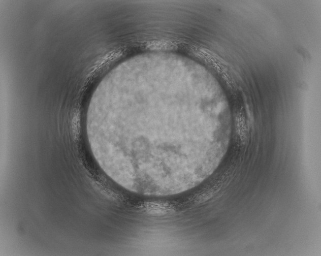 X0000115410690200912151542