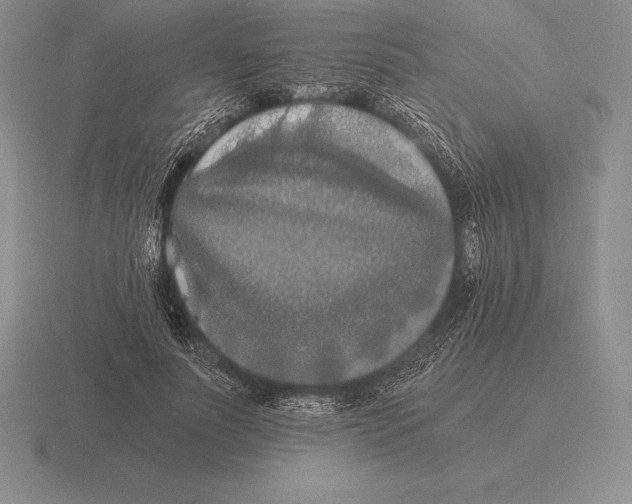 X0000115410691200912151542