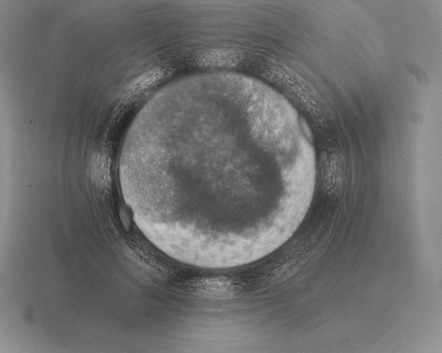 X0000115410692200912151542