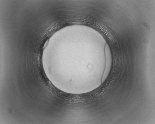 X0000115410696200912151542