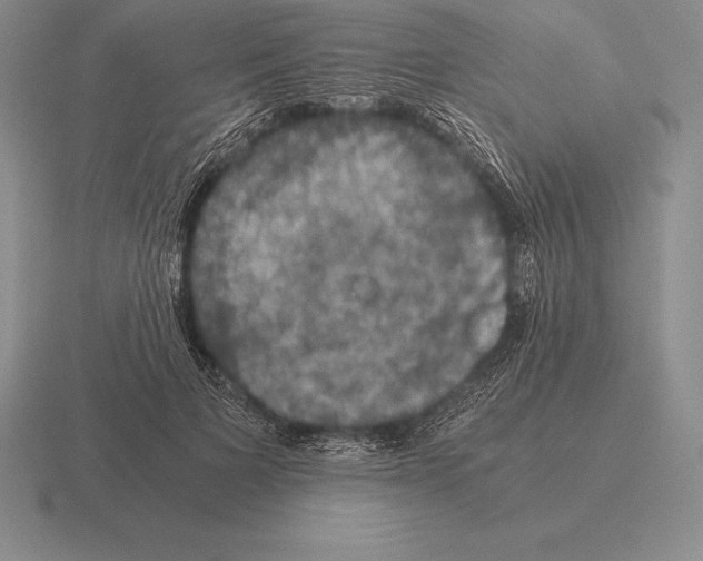 X0000115410697200912151542