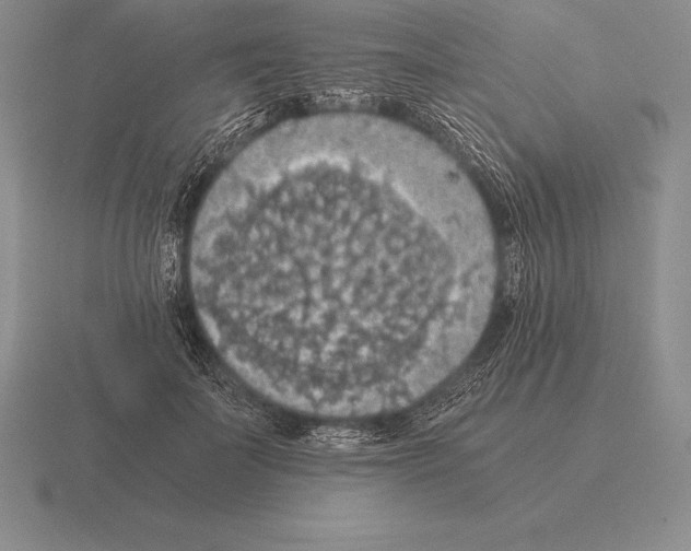 X0000115410699200912151542