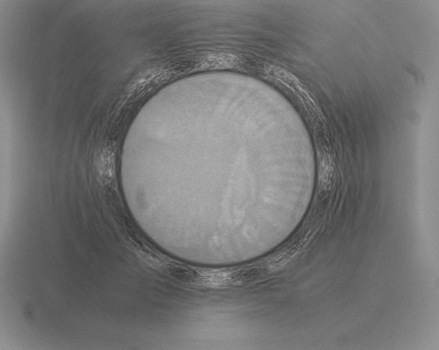 X0000115410701200912151542