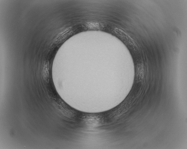 X0000115410702200912151542