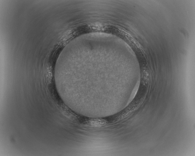 X0000115410707200912151542