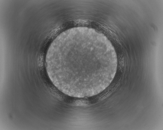 X0000115410708200912151542