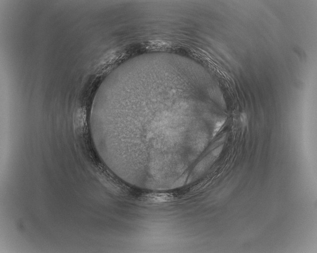 X0000115410711200912151542