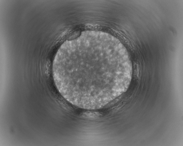 X0000115410712200912151542